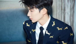 吃瓜爆料王源成毅,瓜田里的青春偶像风云录